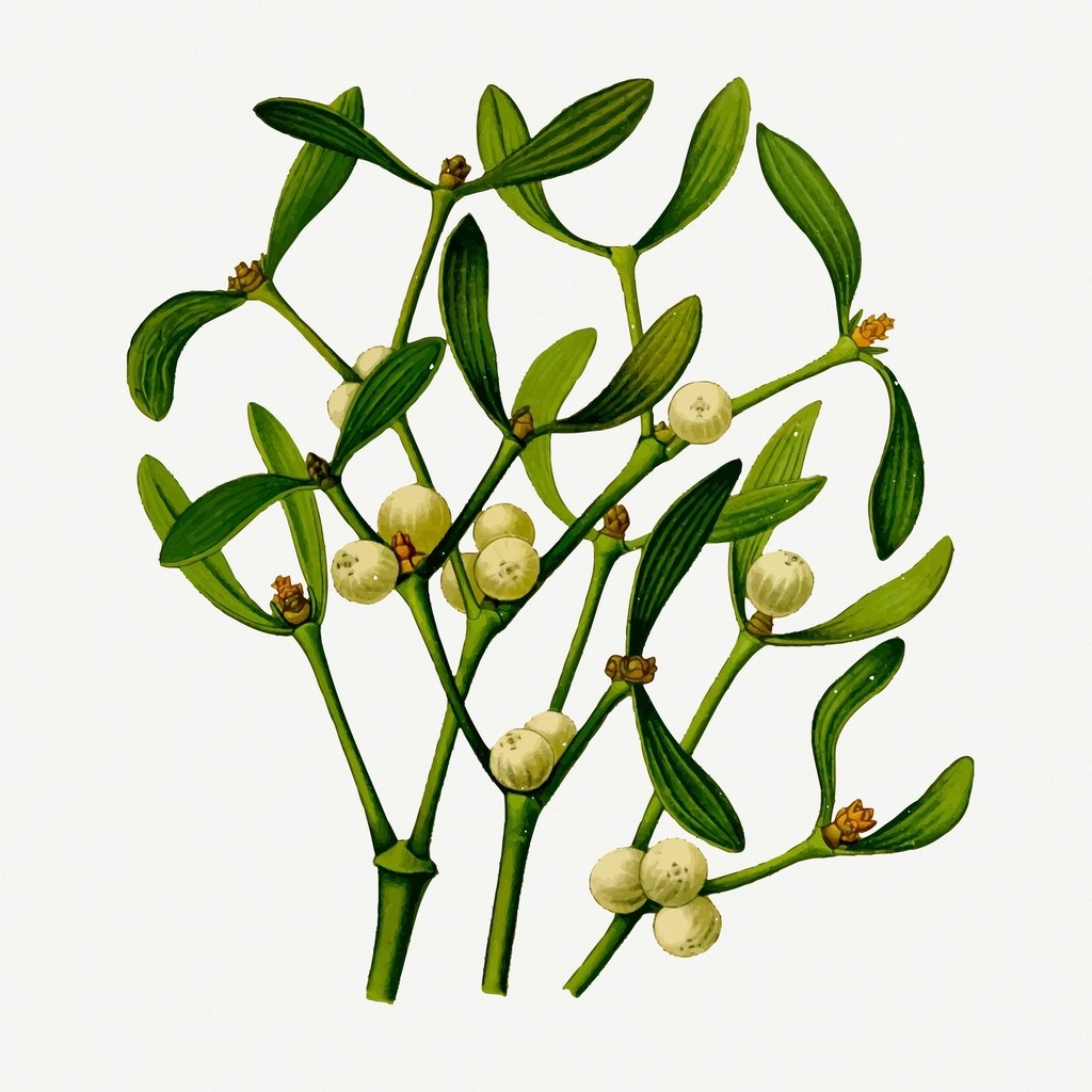 Vintage and Thrifted Decor Ideas for Every&nbsp;Home